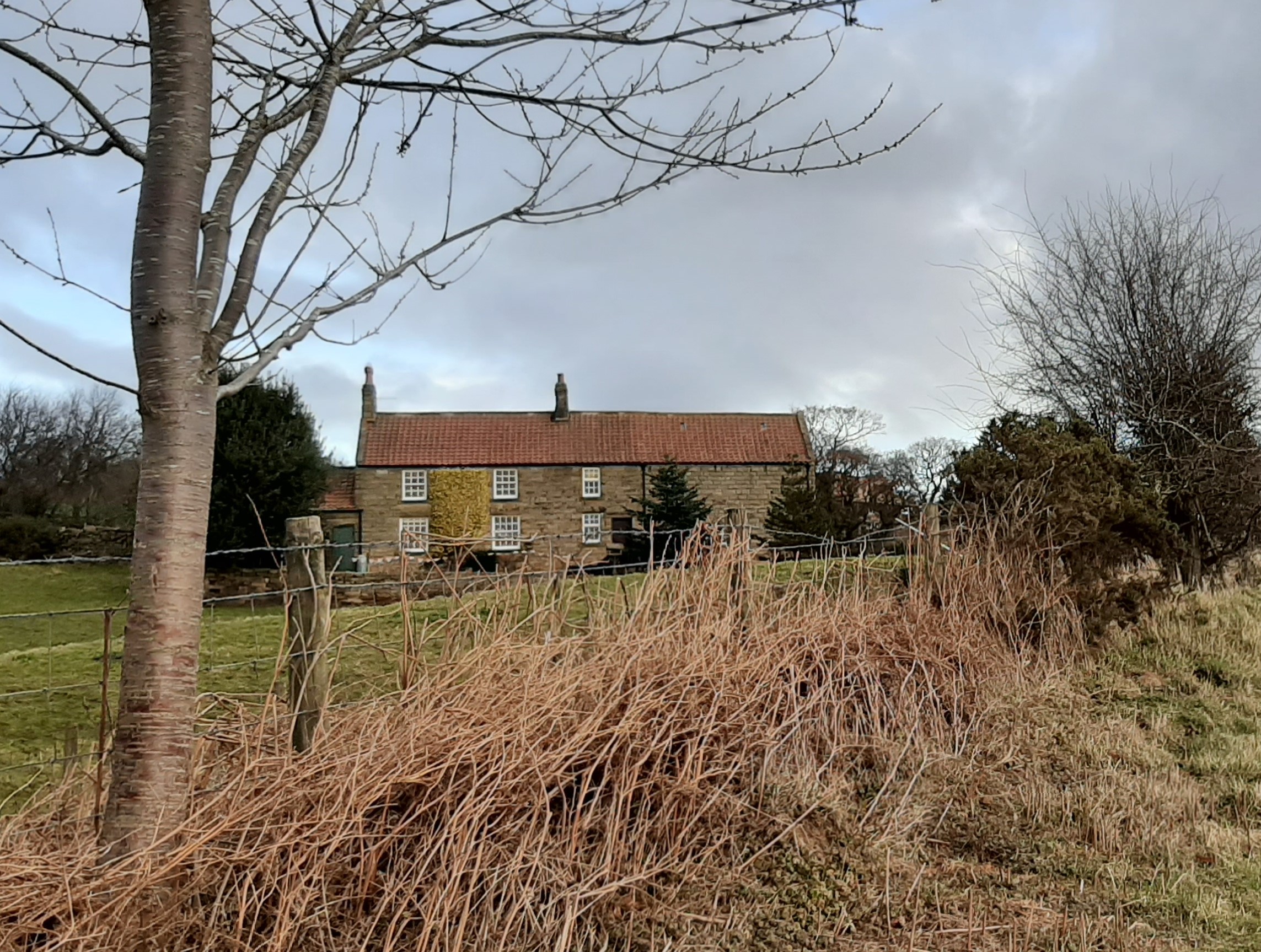The farmhouse on the moors